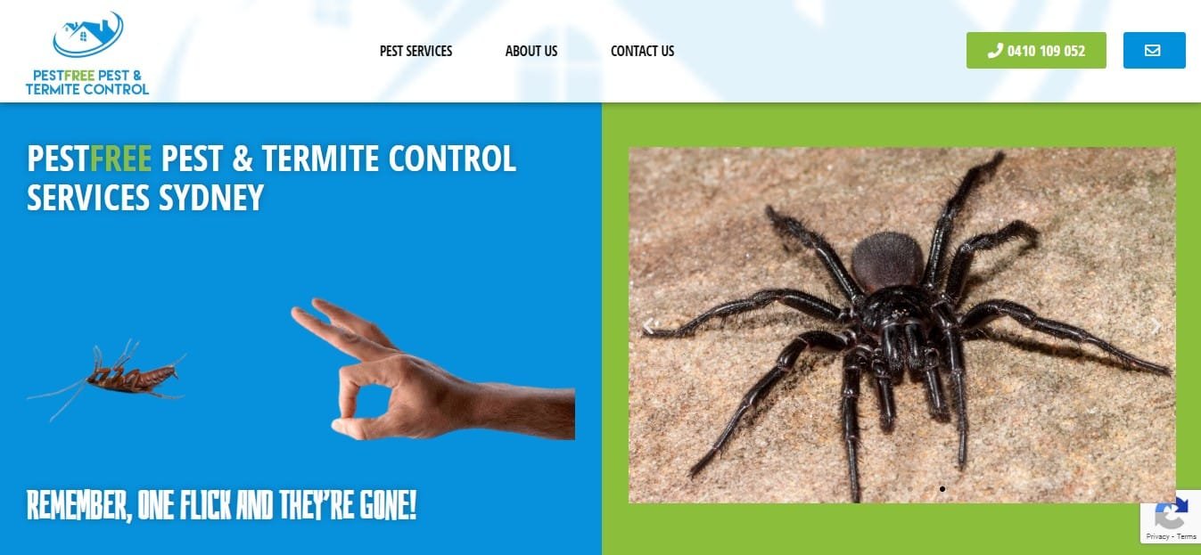 A Pest Control Service based In Campbelltown, NSW, Australia