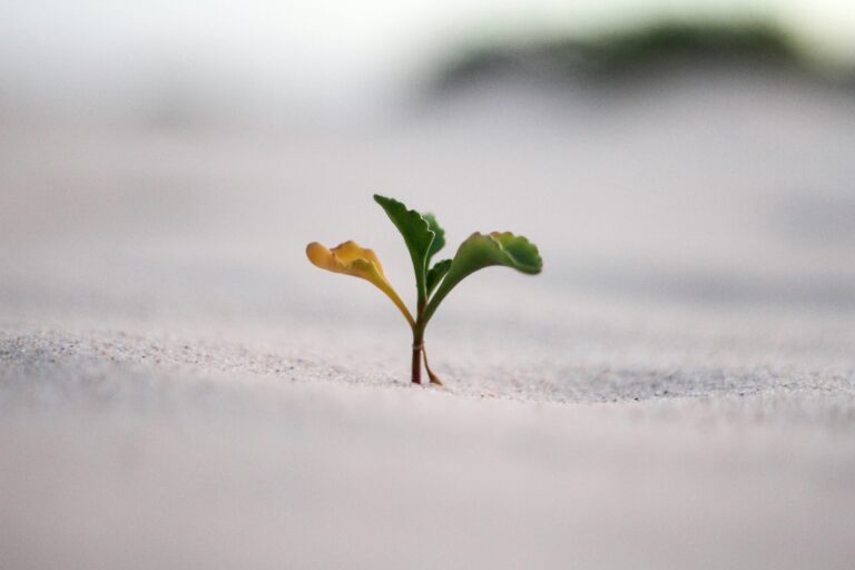 5 Ways a Professional Website Will Boost Your Small Business Sales
